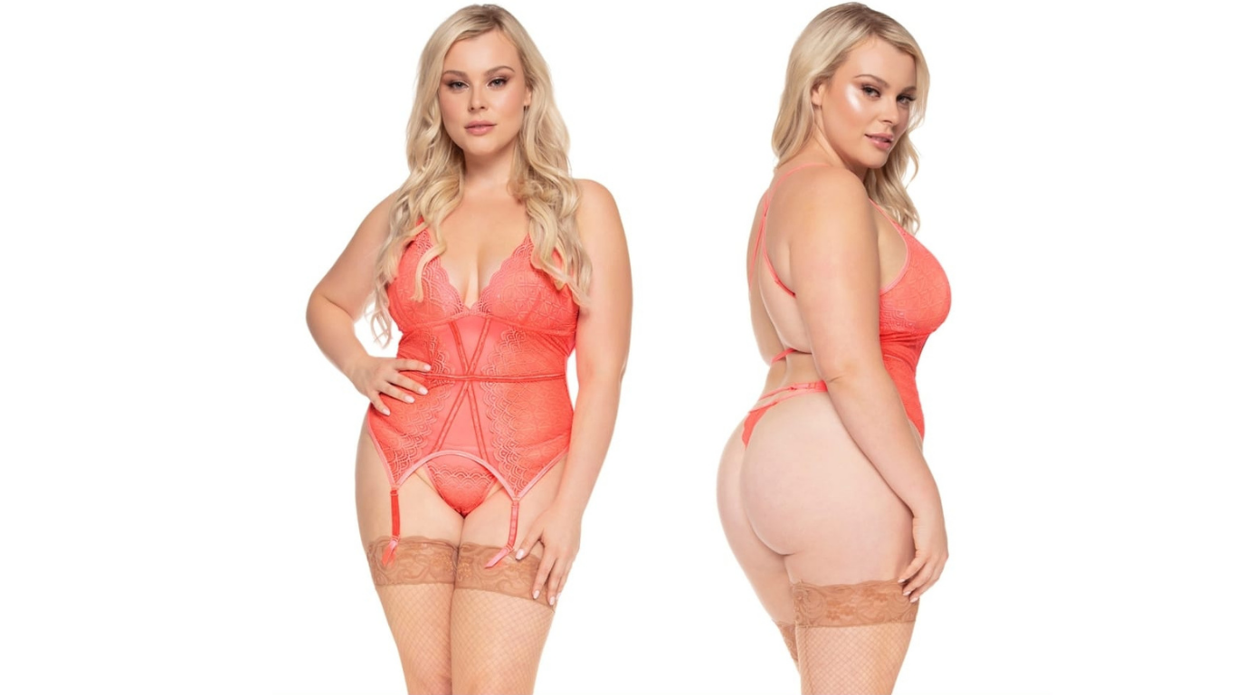 Mesh and Lace Garter Bustier