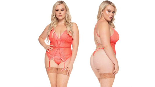 Mesh and Lace Garter Bustier